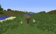 Villager skin image 1
