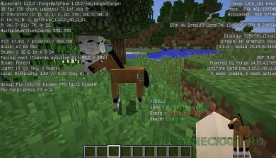 Download Horse Debug Info Mod For Minecraft 1 13 1 12 2 1 12 1 1 12 1 11 2 1 10 2 1 9 4 1 8 For Free