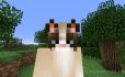 Grumpy Cat Skin image 1