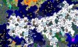 “Giant Snowy Biome” Seed image 1