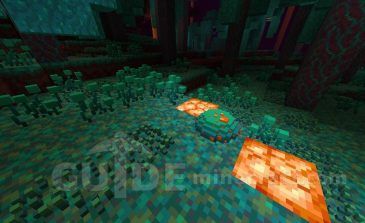 3d Textures For Minecraft 1 16 Guide Minecraft Com