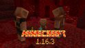 Bug fixing in Minecrft 1.16.3 image 1