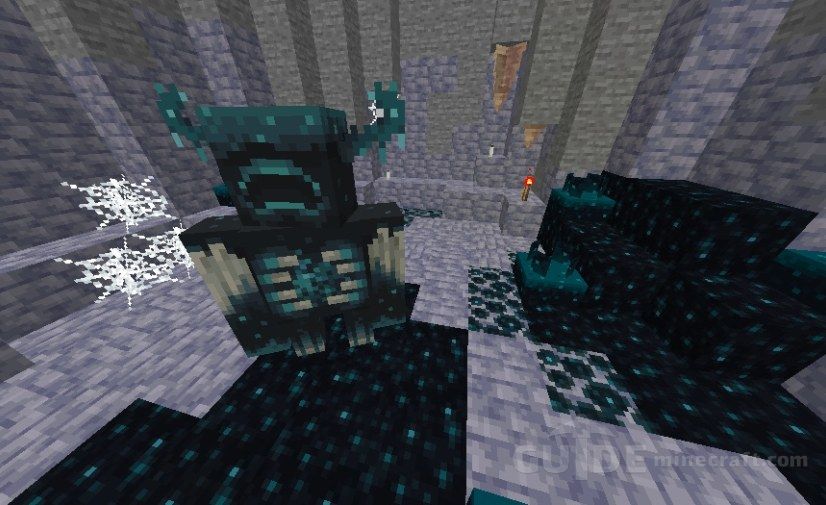 Download Warden S Cave Map For Minecraft 1 16 3 For Free