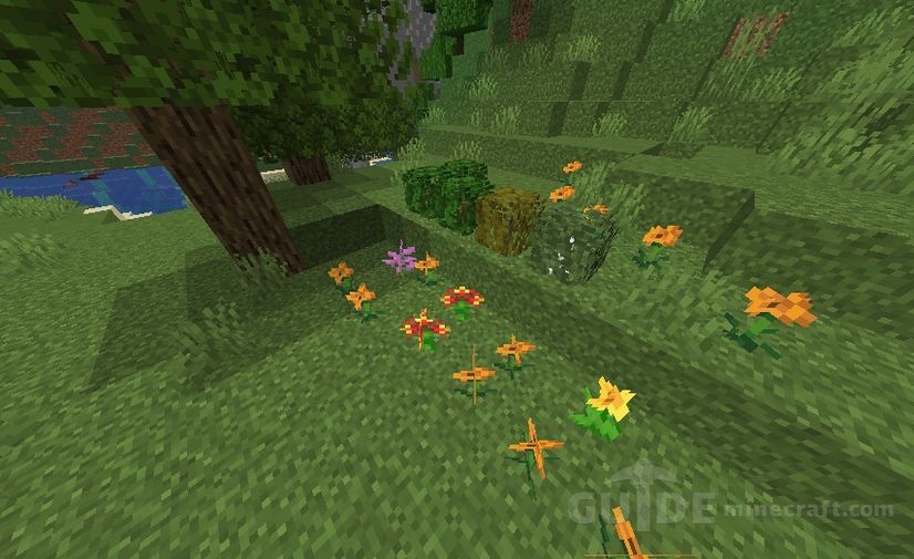 Download Lush Biomes for Minecraft 1.16.5/1.15.2 for free