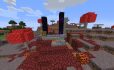 “Mushroom Biome with Nether Portal” Seed image 1