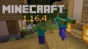Minecraft 1.16.4 Released image 1