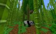 “Bamboo Forest, Temple and Village” Seed image 1
