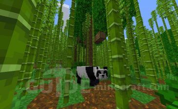 Bamboo Forest Temple And Village Seed For Minecraft 1 16 4
