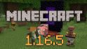 Minecraft 1.16.5 Has Been Released with a Critical Server Issues Fix image 1