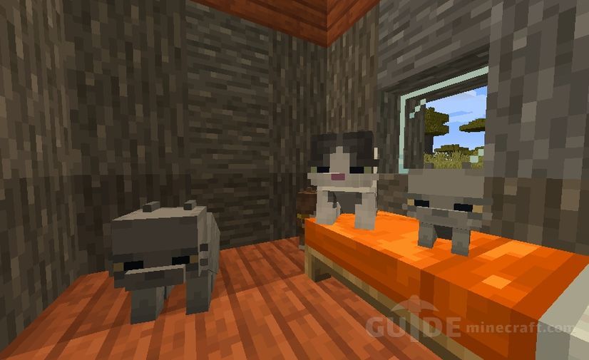 Fat Cat texture pack for Minecraft 1.17.1/1.16.5 for free