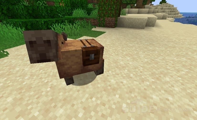 Capybara in Minecraft